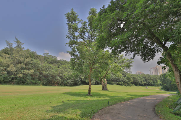 istock walk way and green field at golf club 1052993264