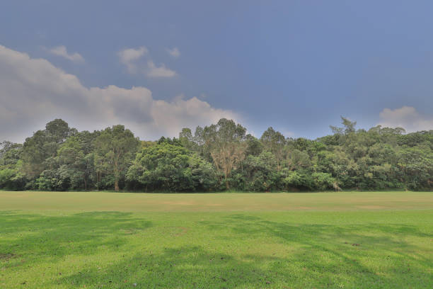 istock Perfect grass golf course field at hk 1052993332