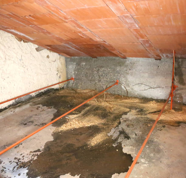 istock wet attic with moisture problems and infiltrations from the roof 1052993688