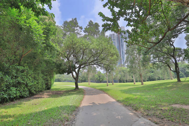 istock texture of walk way and green field 1052994350