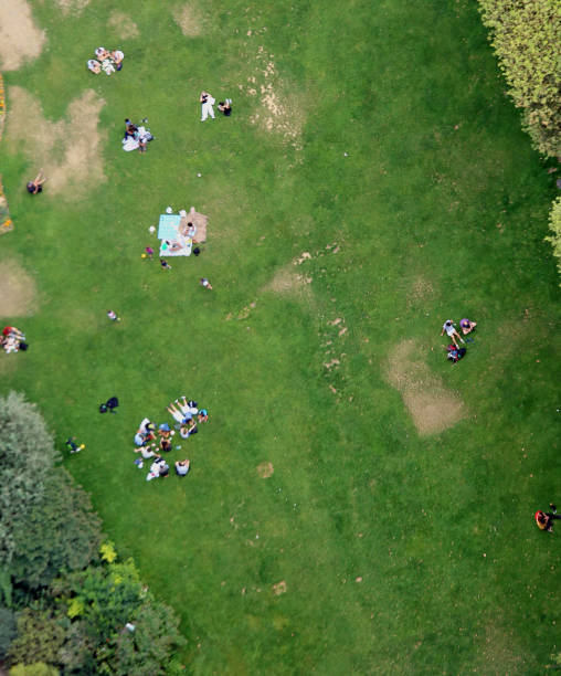 istock families and more people during picnic on the green meadow 1052995264