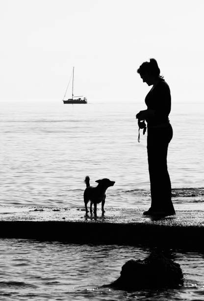 Silhouette of a girl with her dog on the beach with boat sailing in background stock photo