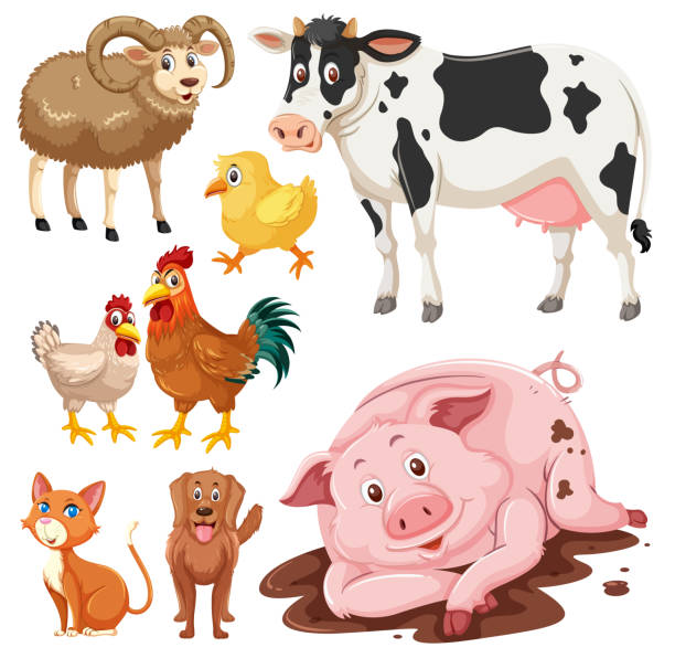 Set of farm animals Set of farm animals illustration mud hen stock illustrations