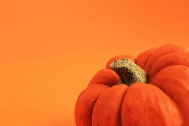 istock Orange background and orange pumpkin 1053007516