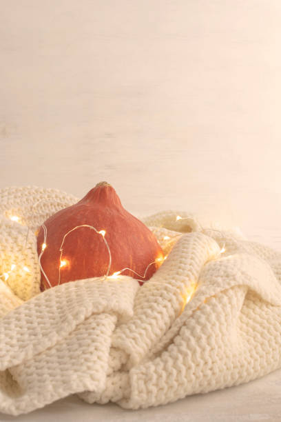 istock Autumn decoration concept - pumpkin on knitted white plaid. 1053007570