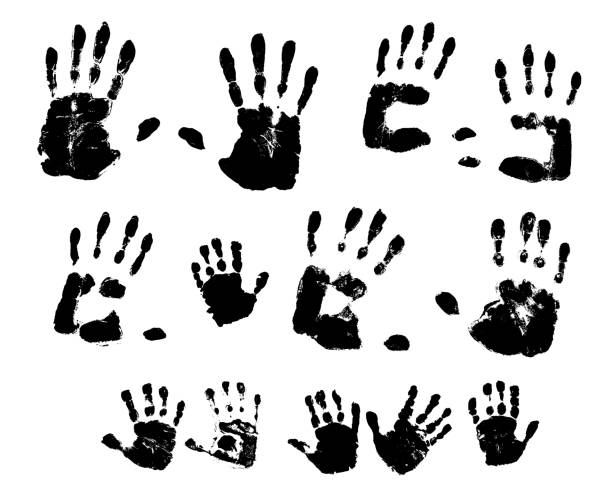 Handprint Drawing Small 170+ Small Hand Prints Stock Illustrations, Royalty-Free Vector ...