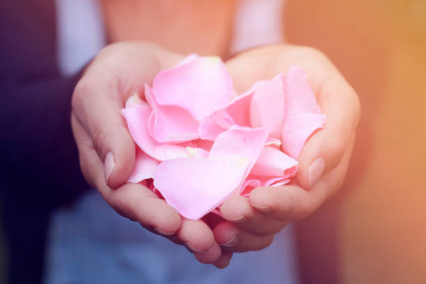 istock Woman Holding Rose 1053010032