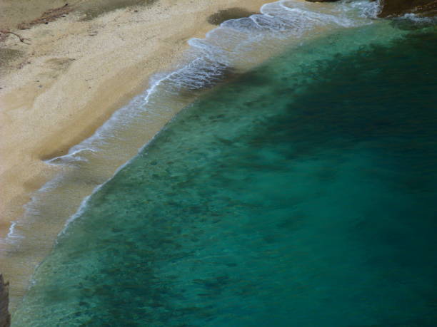 istock Beach, Andros island, Cyclades, Greece 1053012248