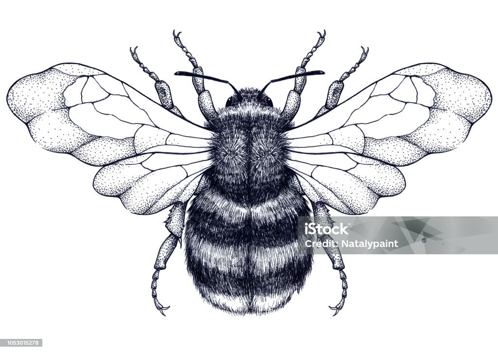 Honeybee tattoo. Dotwork tattoo. Mystical symbol of diligence, economy, purity, immortality, fertility and chastity Honeybee tattoo. Dotwork tattoo. Mystical symbol of diligence, economy, purity, immortality, fertility and chastity. Black and white tattoo Honey Bee stock illustration