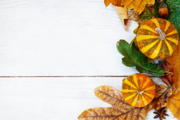istock Autumn oak leaf with decorative pumpkins composition on old white vintage wooden texture floor. Fall, halloween concept. Flat lay, top view 1053019998