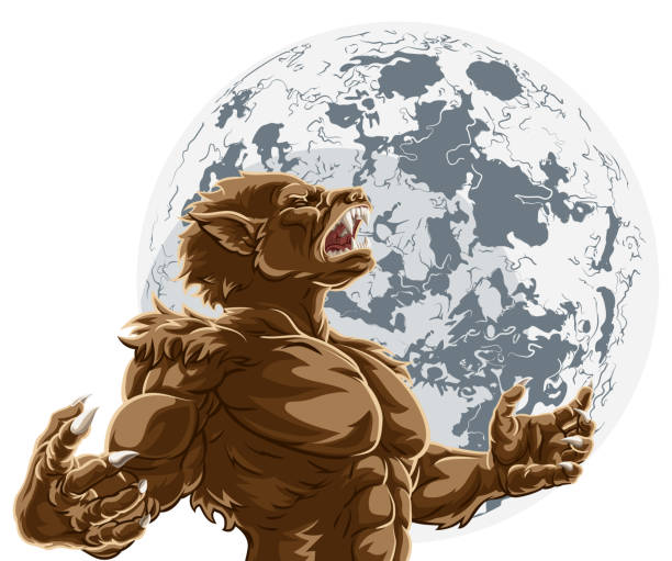 illustrations, cliparts, dessins animés et icônes de loup-garou pleine lune horreur monstre - hairy animal hair fantasy monster