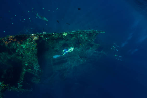 istock Free diver in the depth swim at shipwreck 1053022866