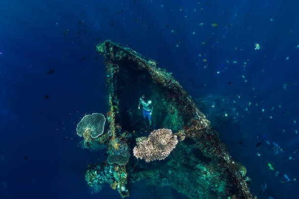 istock Freediver swim at USS Liberty Wreck, Bali 1053023096