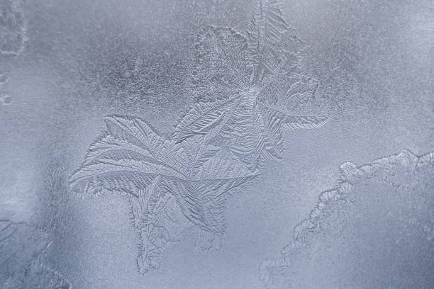 Gentle translucent winter icy pattern similar as leaves at window glass. Gentle translucent winter pattern similar as leaves at window glass. Natural icy winter drawing. Christmas or New Year background. 2273 stock pictures, royalty-free photos & images