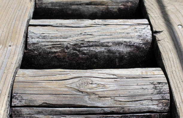 istock The bridge of logs tied 1053025368
