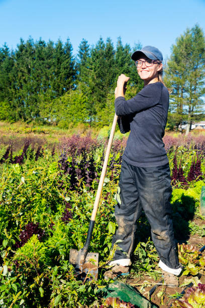 istock A happy, smiling vegetable farmer on a small scale organic farm 1053030858