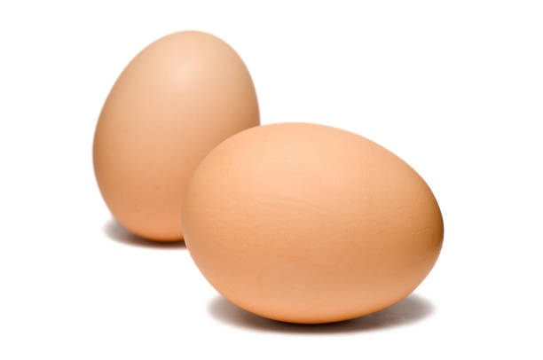 uova marroni su sfondo bianco - two eggs foto e immagini stock