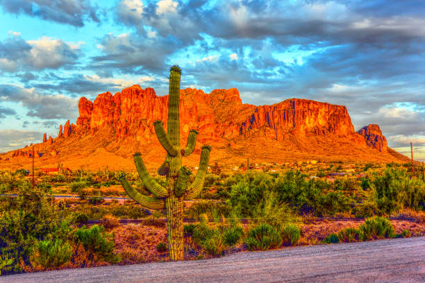 istock Cactus and red mountain at Goldfield Ghost Town Arizona 1053033364