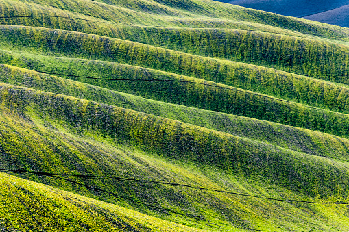 Plowed field,autumn,Tuscany,Italy,Nikon D3x