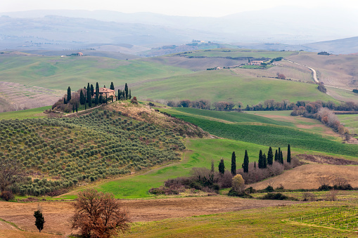 Scenic Tuscany landscape at sunrise, Val d'Orcia, Italy,Europe,Nikon D3x