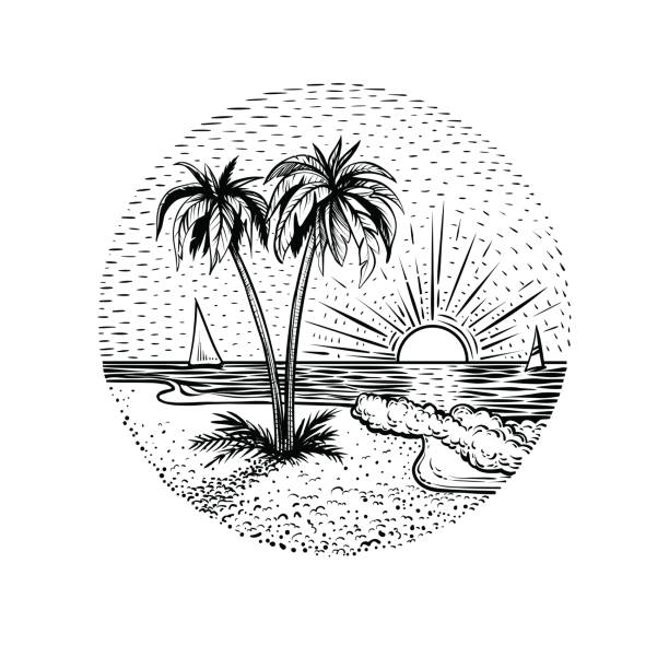 line krajobraz plaży z palmami i zachodem słońca. okrągły emblemat, karta, tatuaż lub element projektu. - sunset beach flash stock illustrations