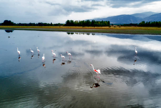 istock eber lake of Afyon city 1053051500
