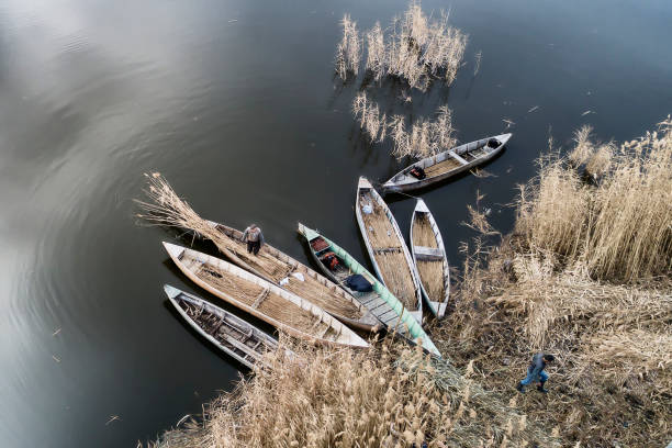 Decoy birds in a rowboat on an autumn beach among the reeds