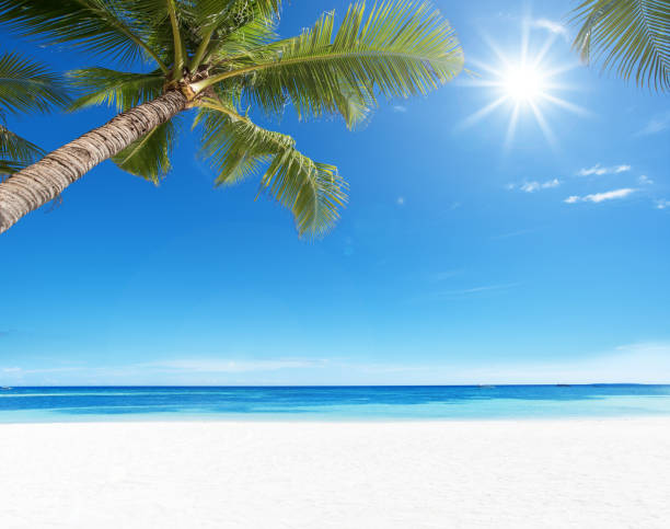 summer tropical paradise beach and sun - horizon over water white green blue imagens e fotografias de stock