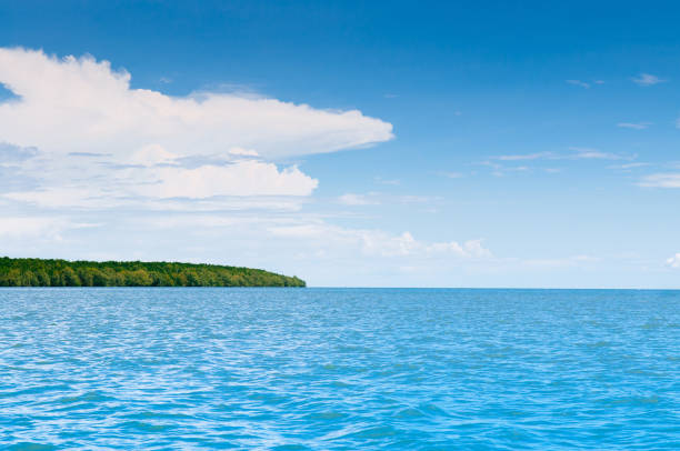 istock blue summer sky with white clouds and tropical green lush mangrove 1053067326