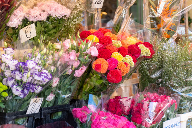 istock Colorful bouquets at a market stall. 1053068522