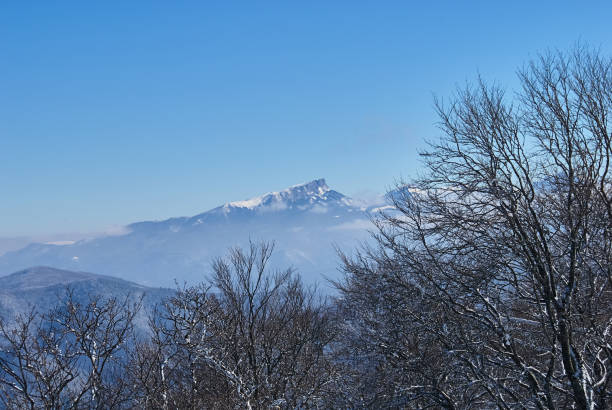 istock Mountain landscape. On the front and middle ground there is a forest, behind the snow-covered peaks of the mountains. Beautiful blue sky. Lago-Naki, The Main Caucasian Ridge, Russia 1053071700