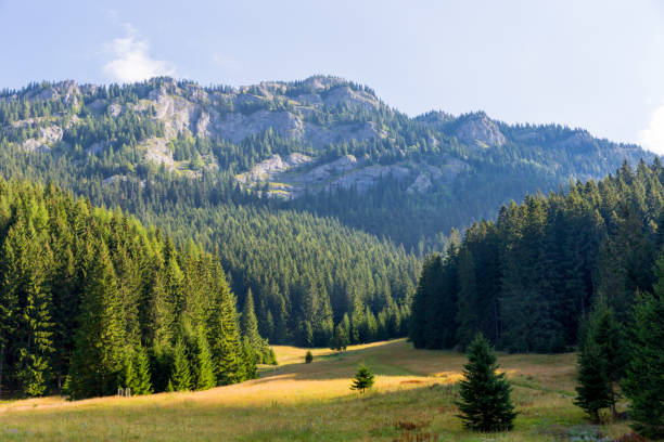 istock morning meadow in Tatras 1053074198