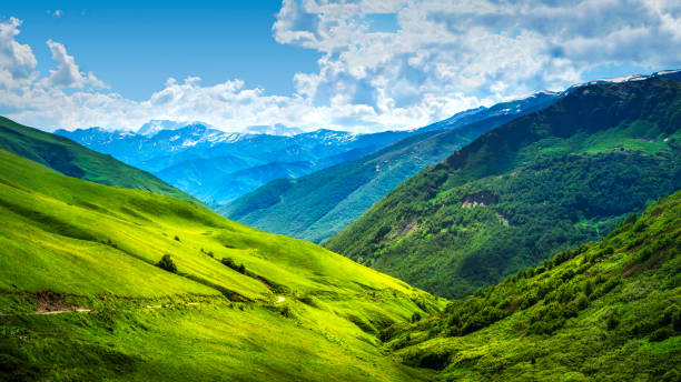 alpine berglandschaft. swanetien bergketten. grünen grasbewachsenen hügeln in georgischen hochländern an hellen sonnentag. herrliche aussicht auf die landschaft wunderbar lebendige natur. schöner tag im caucasus-tal. - svaneti stock-fotos und bilder