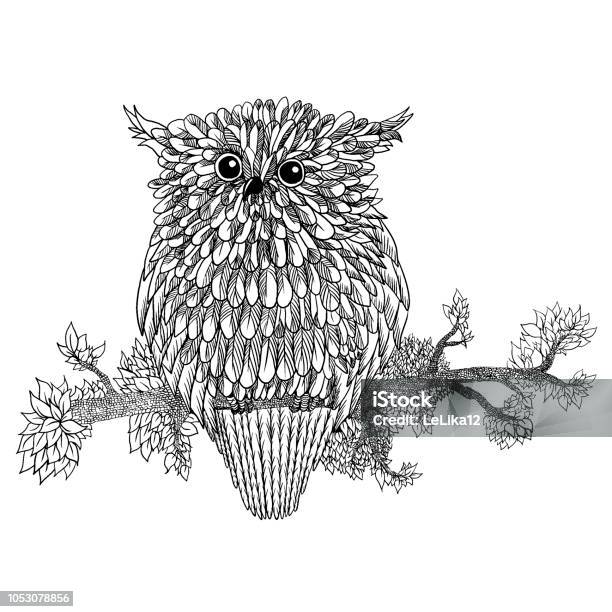 Vector Hand Drawn Owl Sitting On Branch Black And White Tangle Art Patterned Illustration For Antistress Coloring Book Tattoo Poster Print Tshirt Stock Illustration - Download Image Now