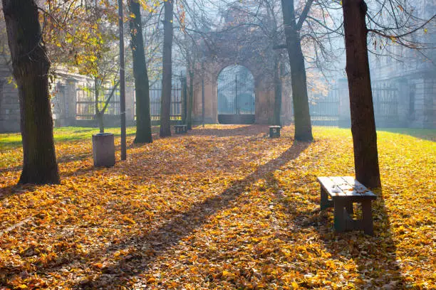 Photo of Autumn colonade with a gateway and yellow blades
