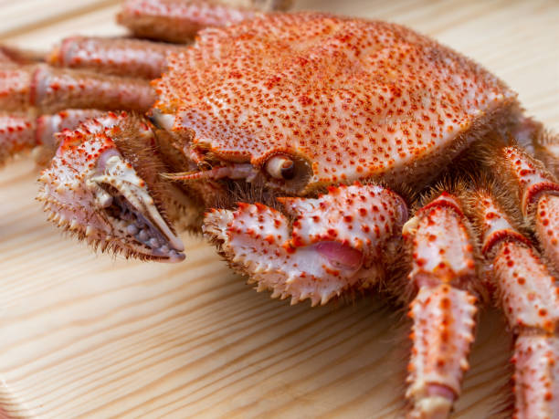 istock whole boiled crab on the village surface 1053098130