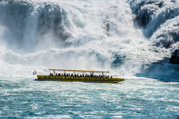 chutes du rhin (canton de schaffhouse, suisse) - rhine falls photos et images de collection