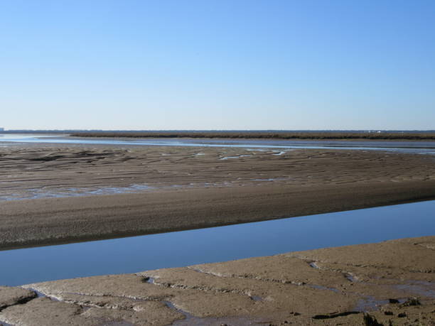 istock Salt pans in marshes 1053100392