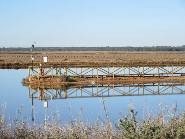 istock Salt pans in marshes 1053100464