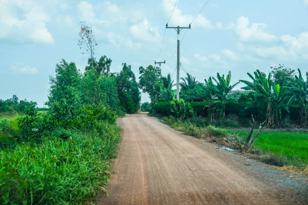 istock Countryside road with tree and electric pole in Thailand 1053113658