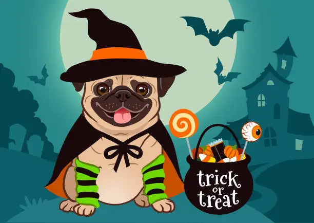 Vector illustration of Halloween pug dog dressed as witch with hat, cape, cauldron with candy, against spooky scene with full moon, haunted house, forest cemetery. Halloween, dog lovers, pet costume theme for posters, cards