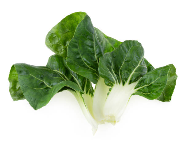istock Lettuce leaves isolated on a white background 1053121430