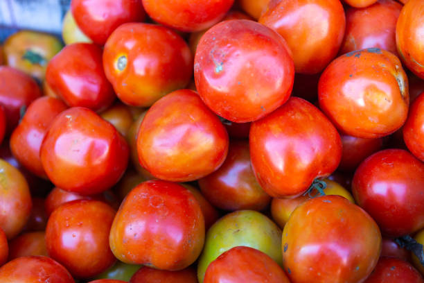 istock The bulk of tomato 1053121822
