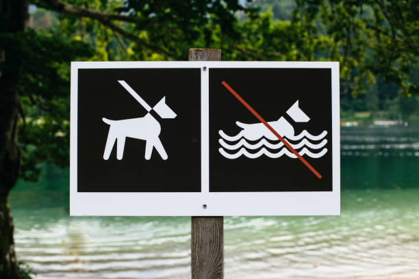 View at no dog bathing sign on signpost