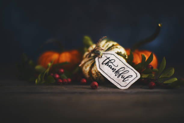 Fall pumpkin arrangement with message of Thanks Fall pumpkin arrangement with message of Thanks gift tag note photos stock pictures, royalty-free photos & images