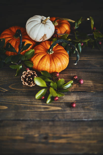 istock Fall background arrangement with varieties of miniature pumpkins 1053140058