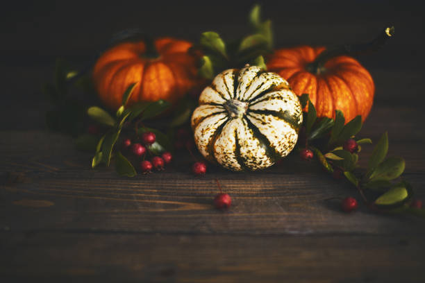 istock Fall background arrangement with varieties of miniature pumpkins 1053140278