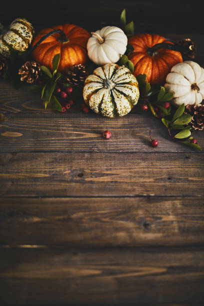 istock Fall background arrangement with varieties of miniature pumpkins 1053140728