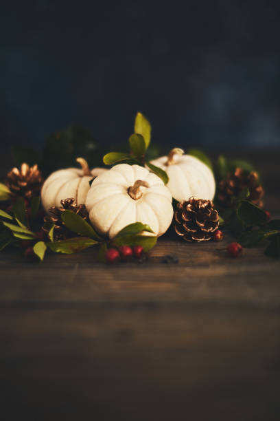 istock Fall background arrangement with varieties of miniature pumpkins 1053142546