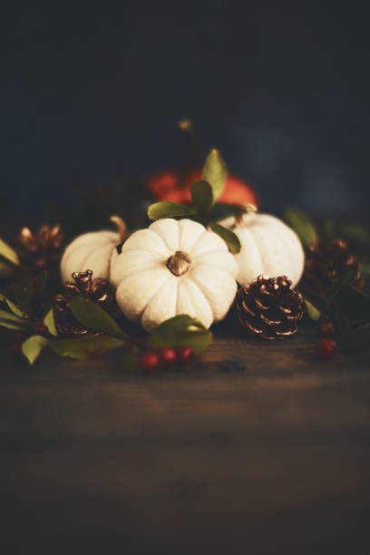 istock Fall background arrangement with varieties of miniature pumpkins 1053143094